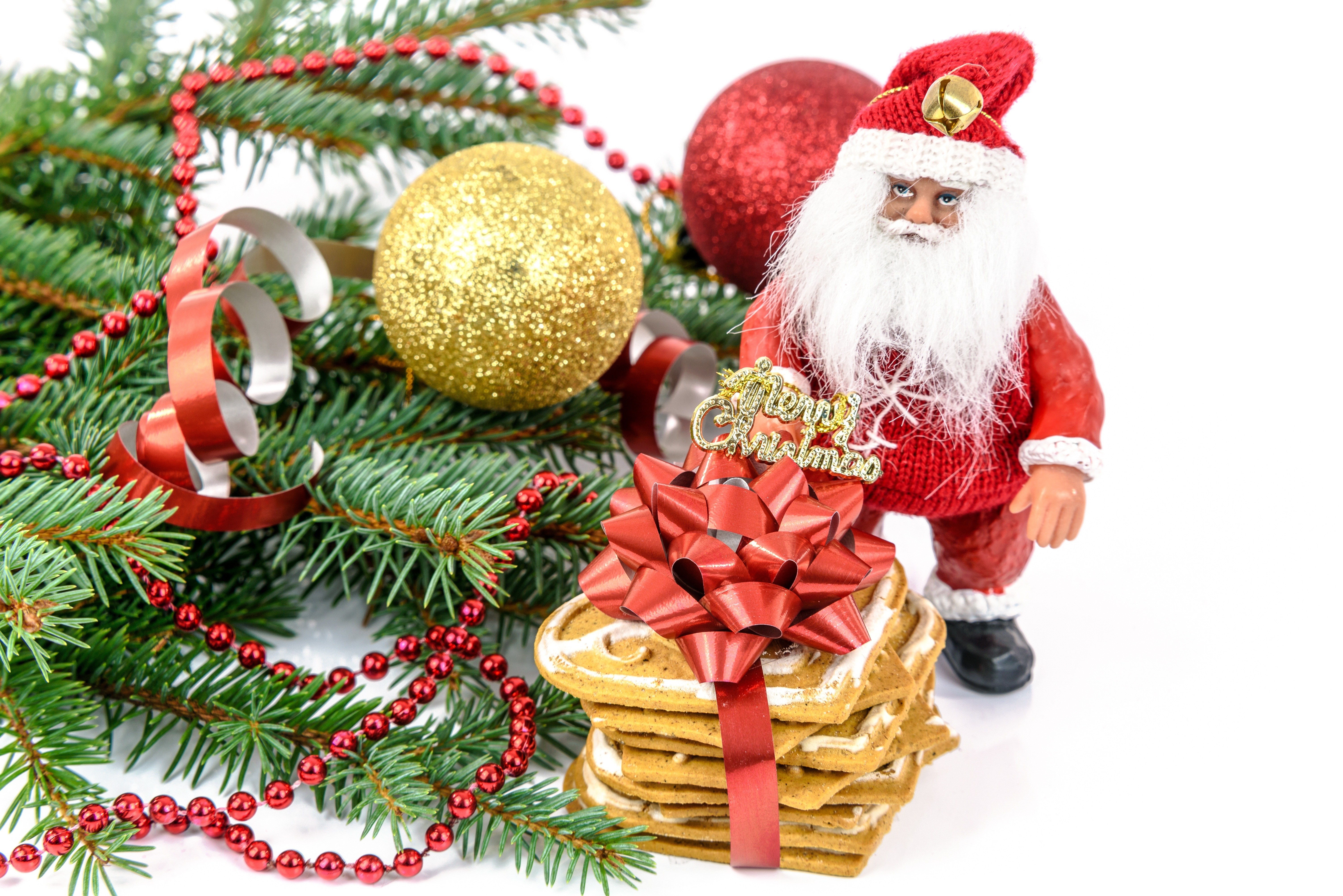 Santa with gingerbread cookies