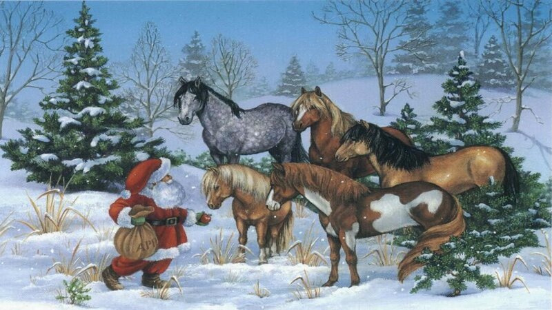 Santa with Horses — White, Peaceful