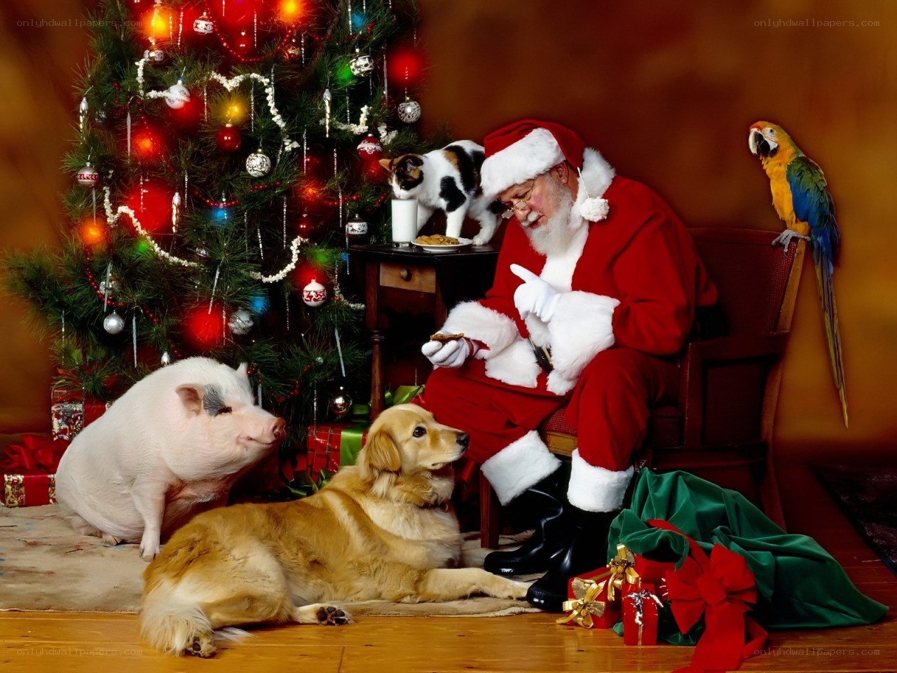 Santa with pets at Christmas