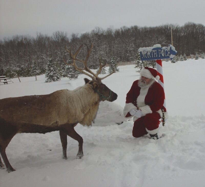 Santa with reindeer at North Pole