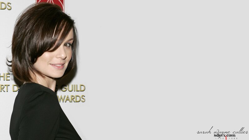 Sarah Wayne Callies at an awards event