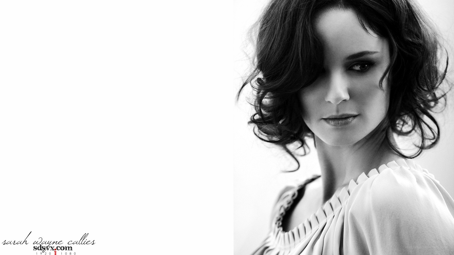 Sarah Wayne Callies portrait