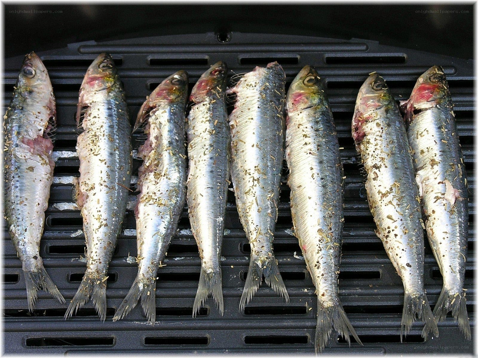 sardines on a grill