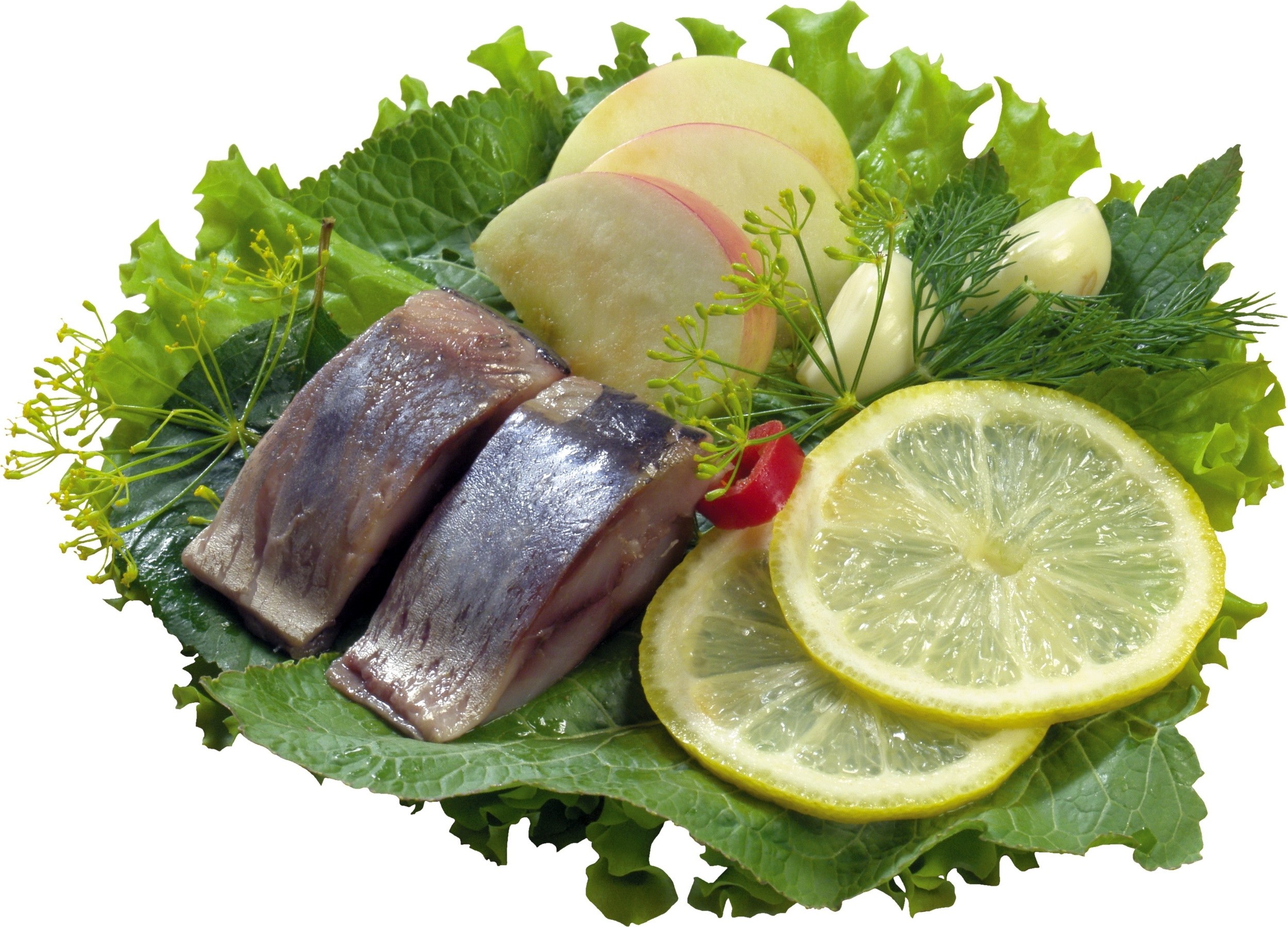 sardines with lemon and herbs