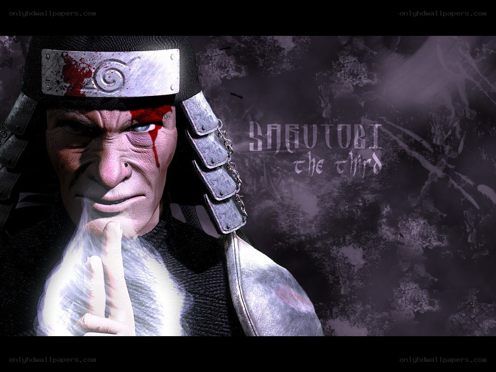 Sarutobi the Third character art