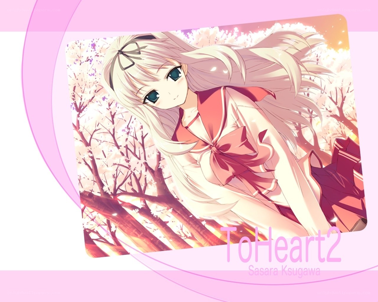 Sasara in cherry blossoms