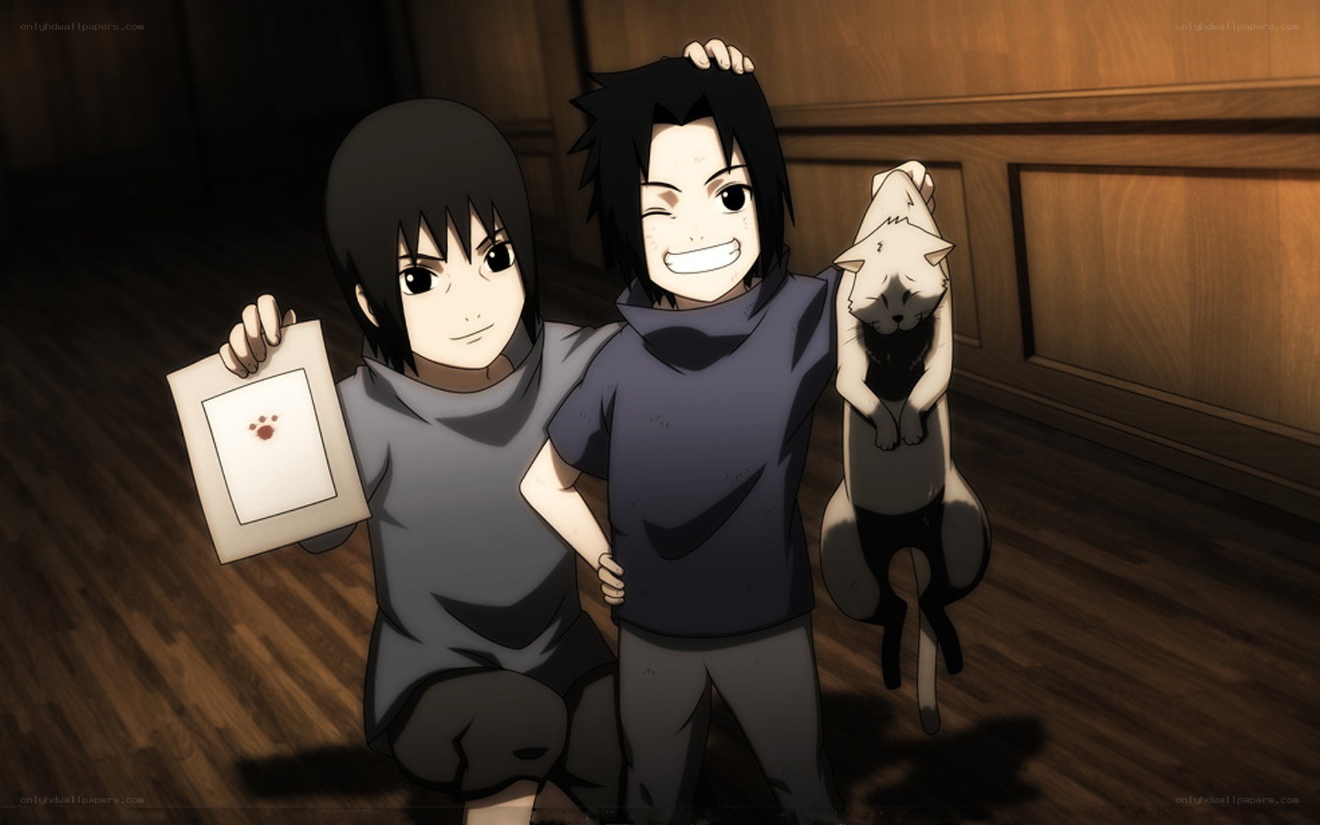Sasuke and Itachi with a cat