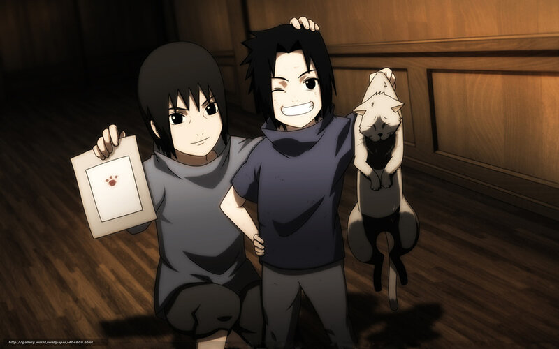 Sasuke and Itachi with cat