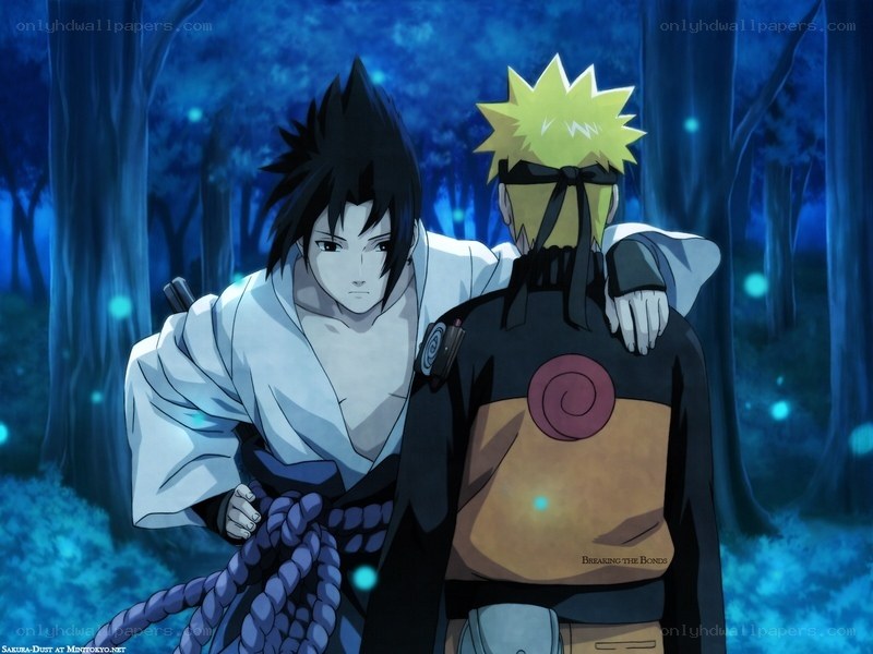 Sasuke and Naruto in the forest