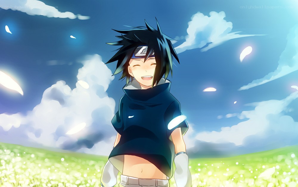Sasuke in a sunny field