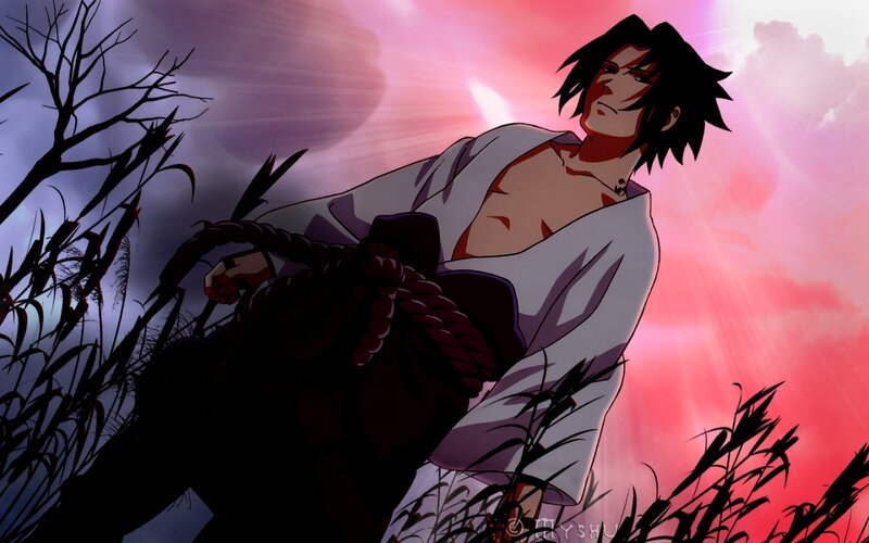 Sasuke in the sunset