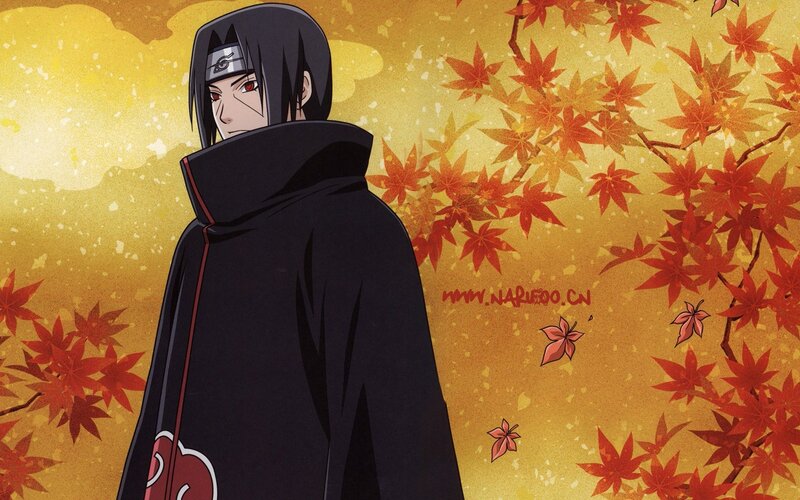 Sasuke Uchiha in autumn