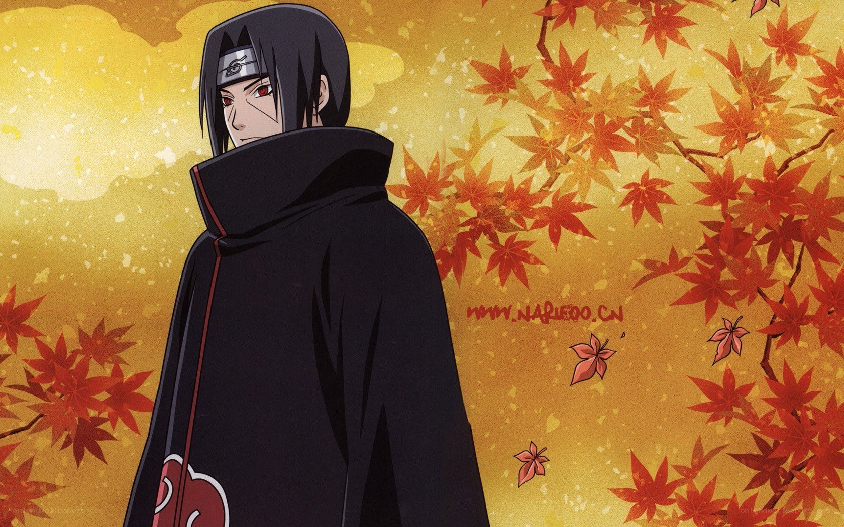 Sasuke Uchiha in autumn