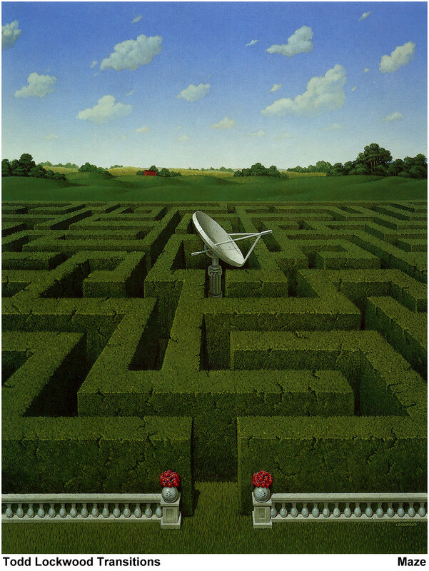 Satellite in a Maze