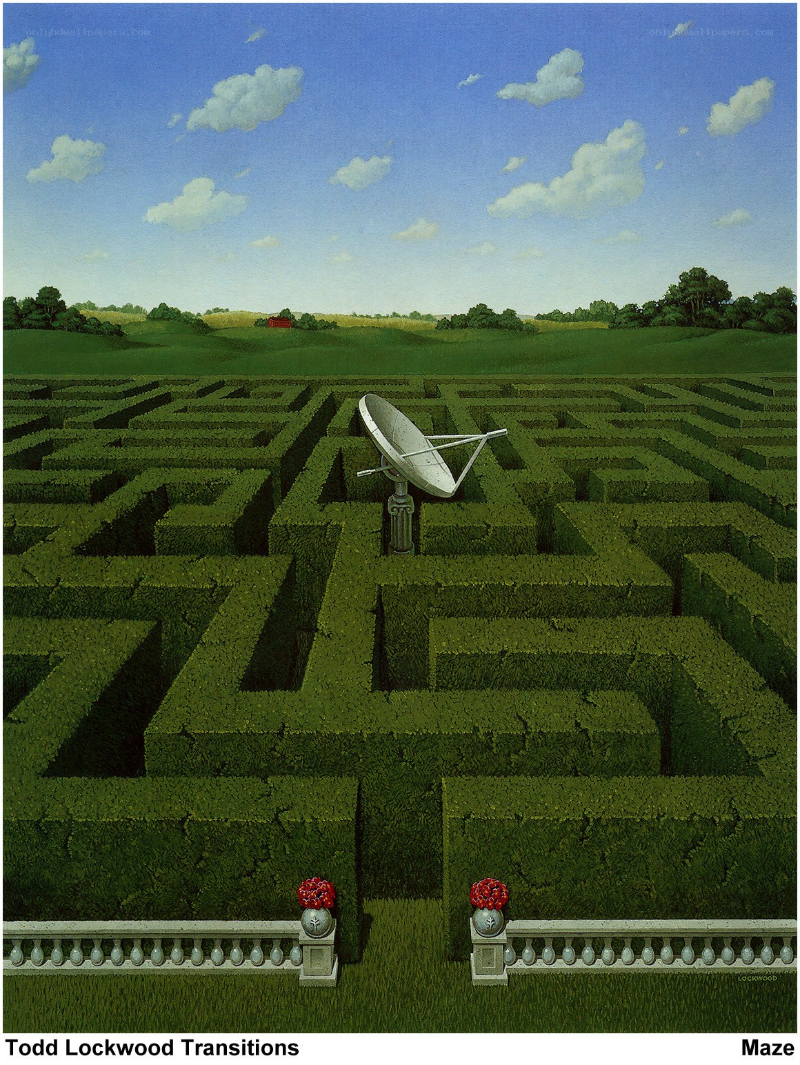 Satellite in a Maze