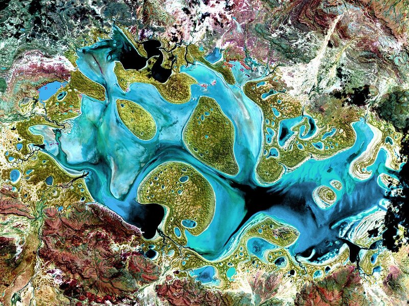 Satellite view of a river delta