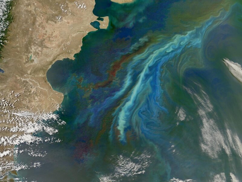 Satellite view of algal bloom