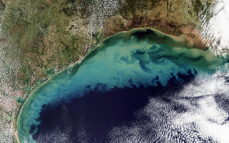 Satellite view of algal bloom