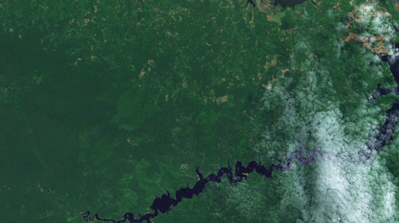 Satellite view of forest and river
