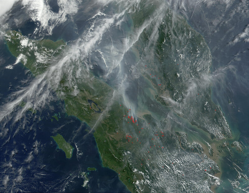 Satellite View of Forest Fires