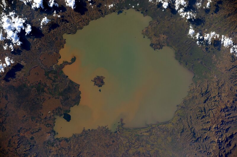 Satellite View of Lake — Brown