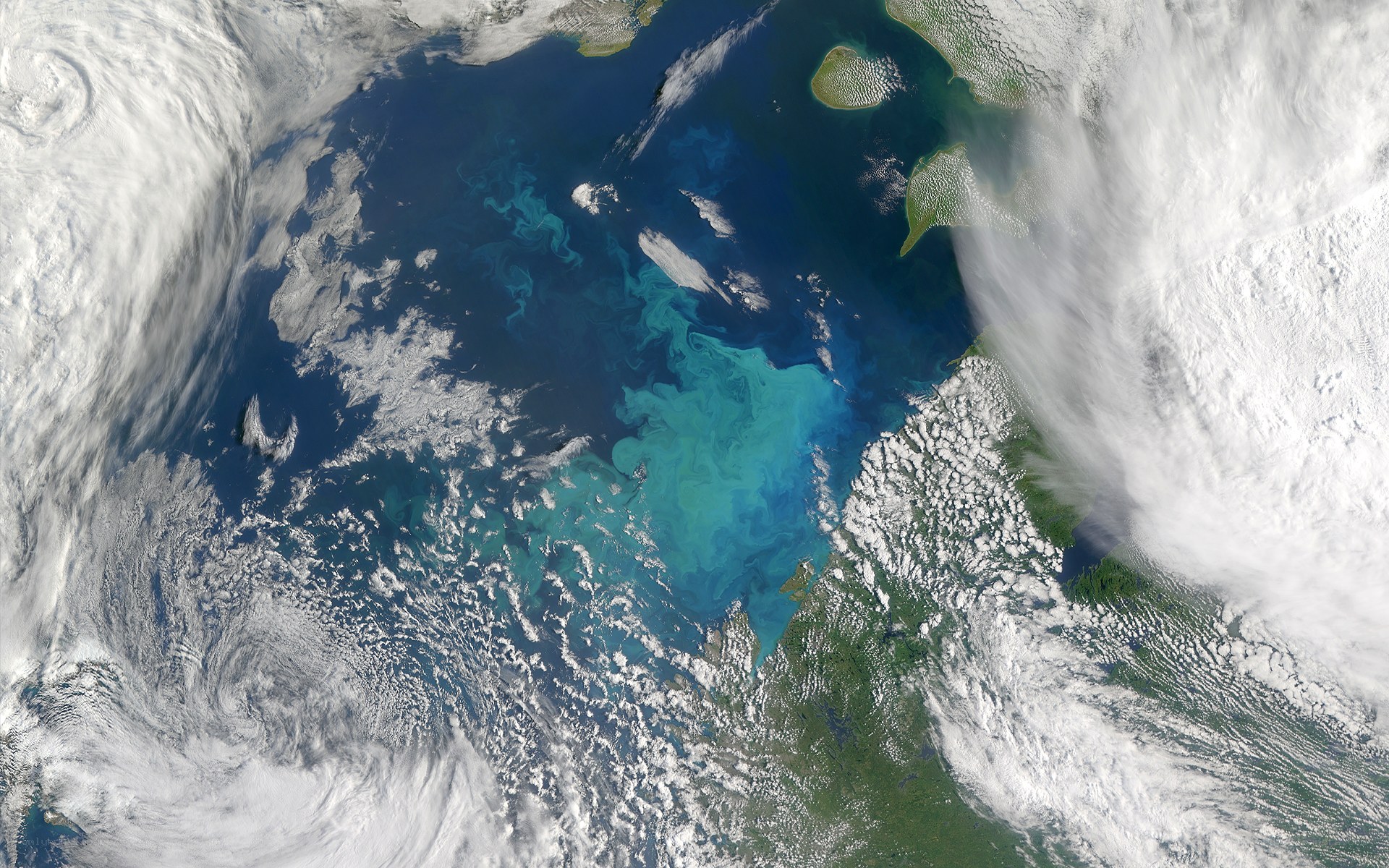 Satellite view of ocean currents