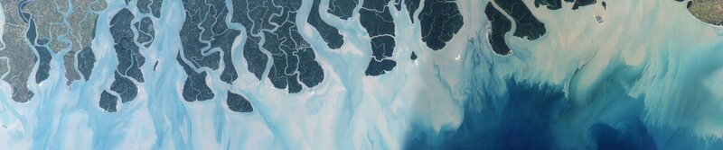 Satellite view of river delta