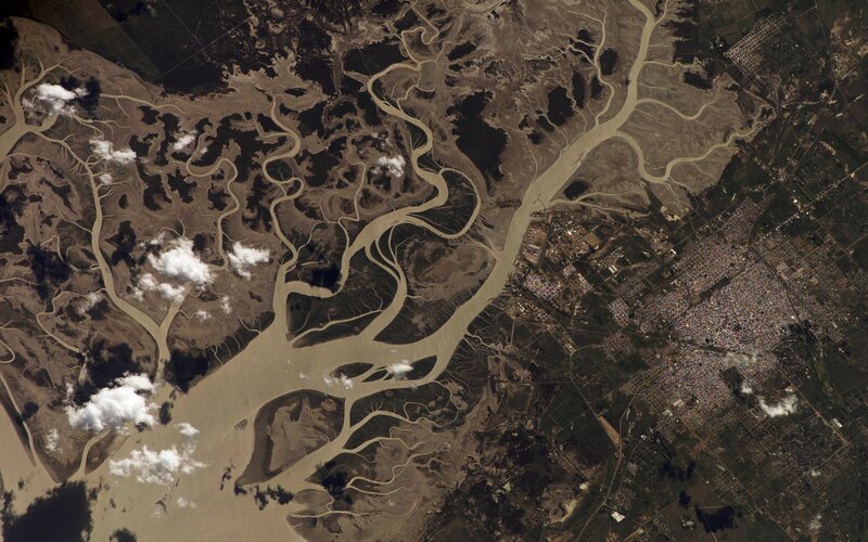 Satellite view of river delta