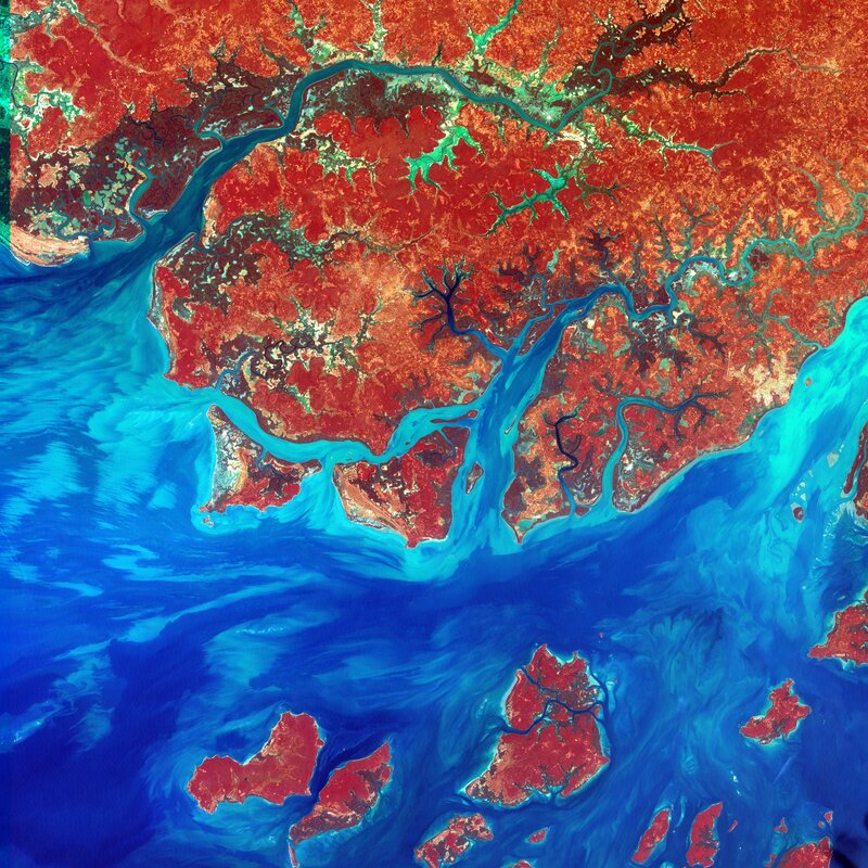Satellite view of river delta