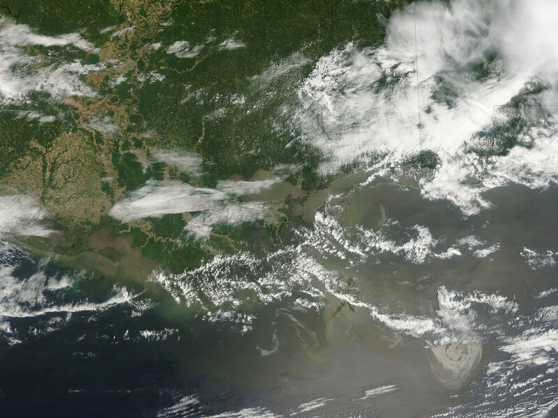Satellite view of river delta
