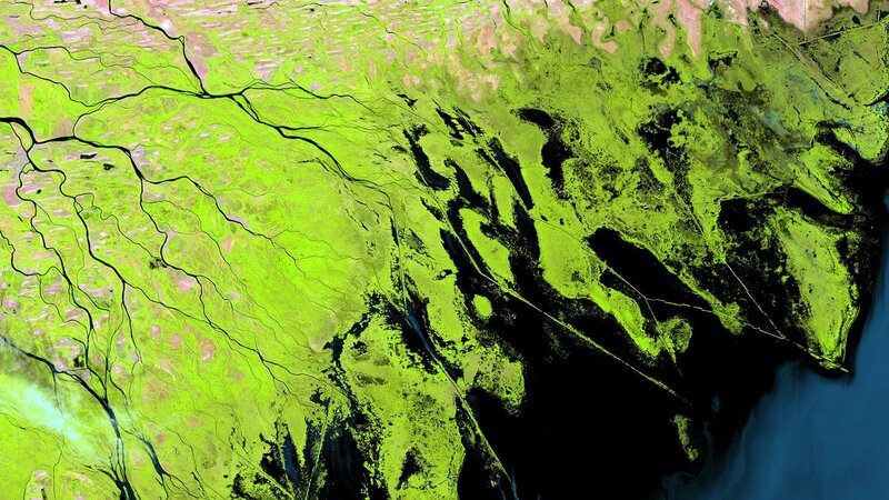Satellite view of river delta
