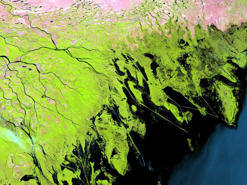 Satellite view of river delta