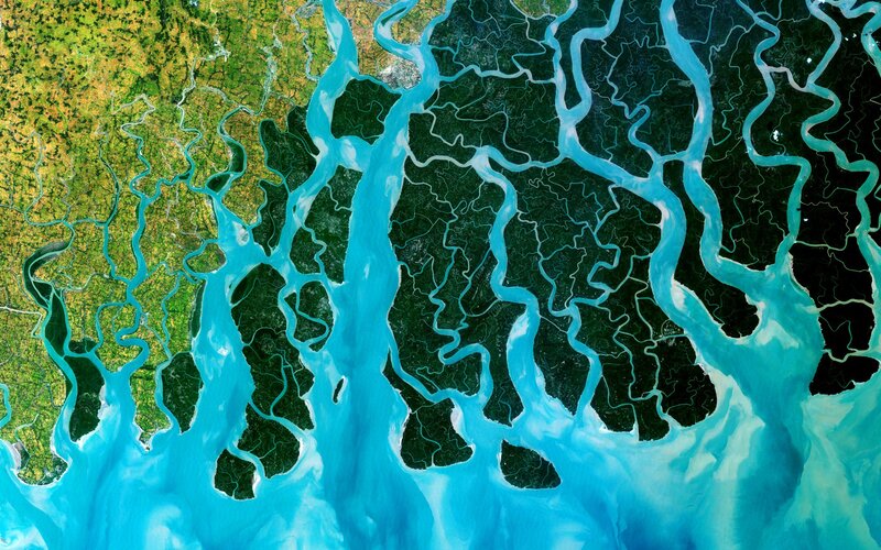 Satellite View of River Delta — Blue