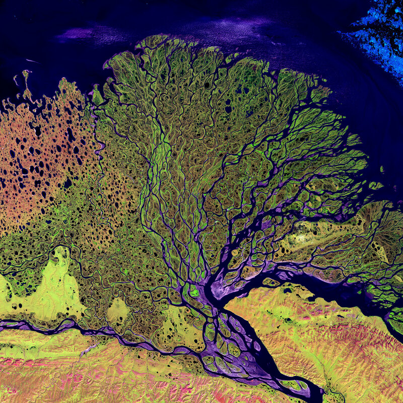 Satellite view of river delta