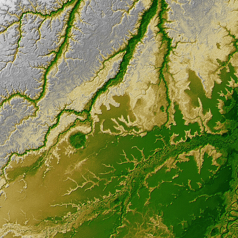 Satellite view of river deltas