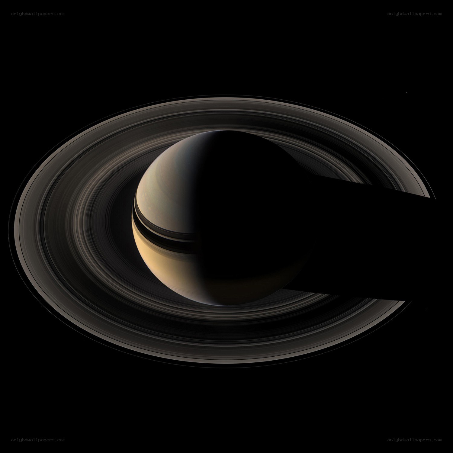 Saturn with its rings