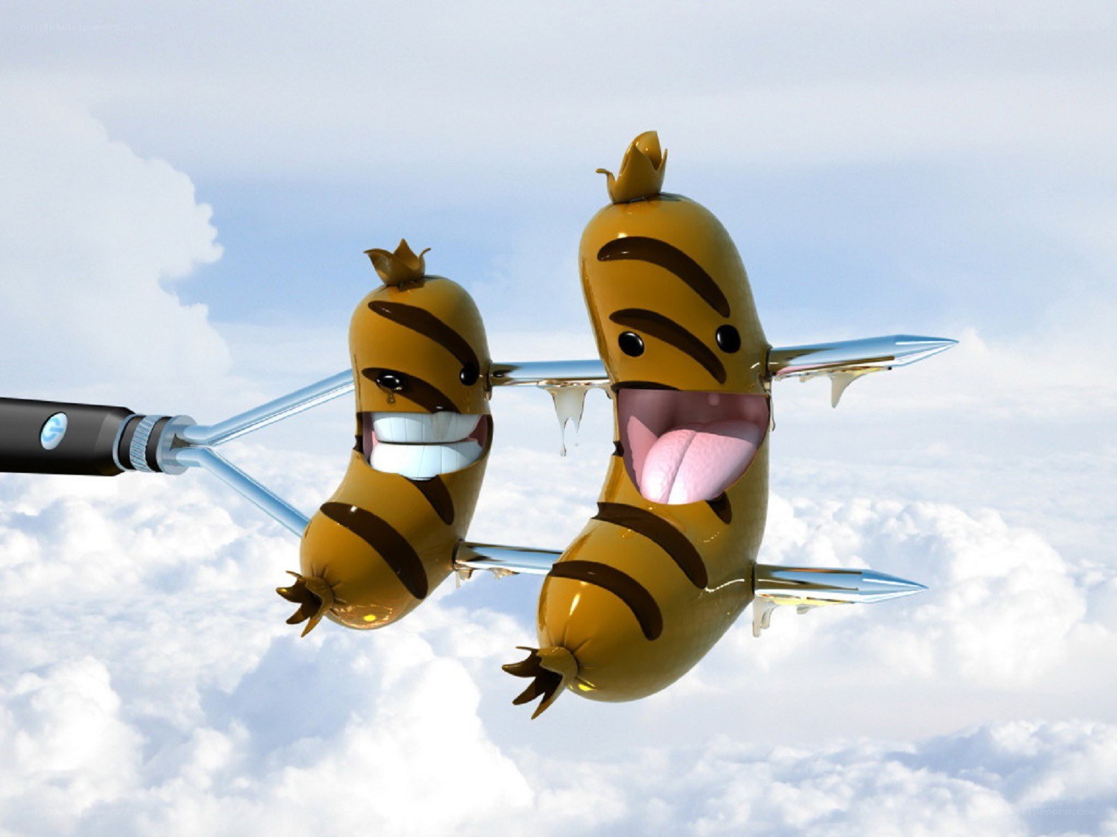 sausage bees in sky
