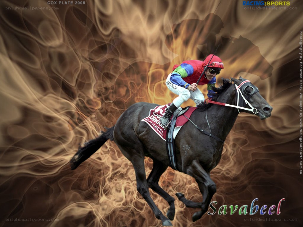 Savabeel racing horse
