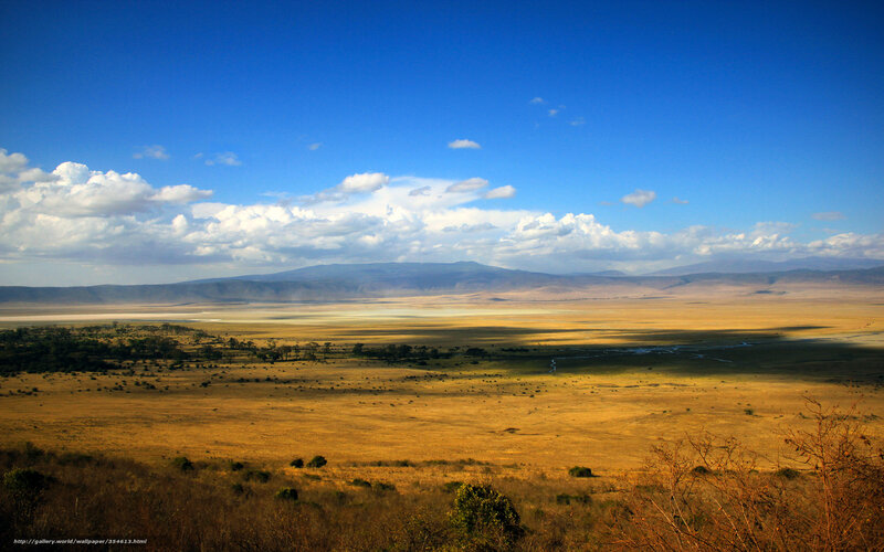 Savanna Landscape — Blue, Serene, Afternoon