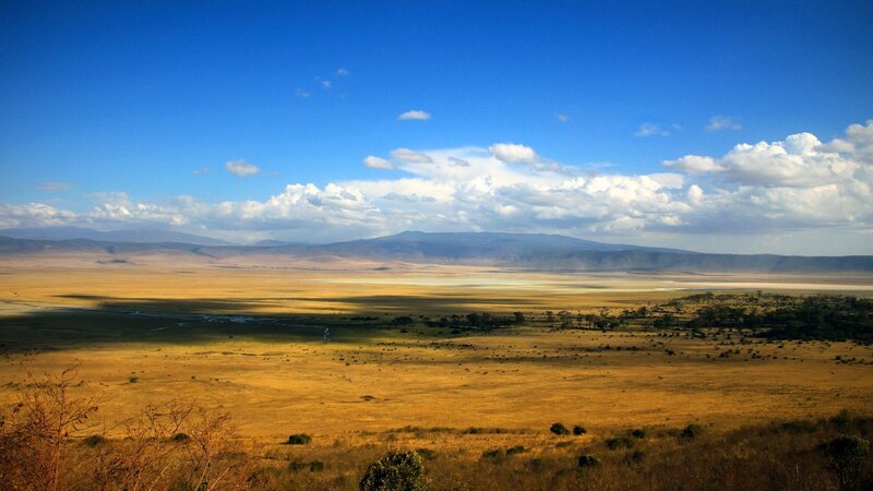 Savanna Landscape — Blue, Serene