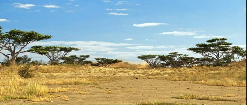 Savanna Landscape — Blue