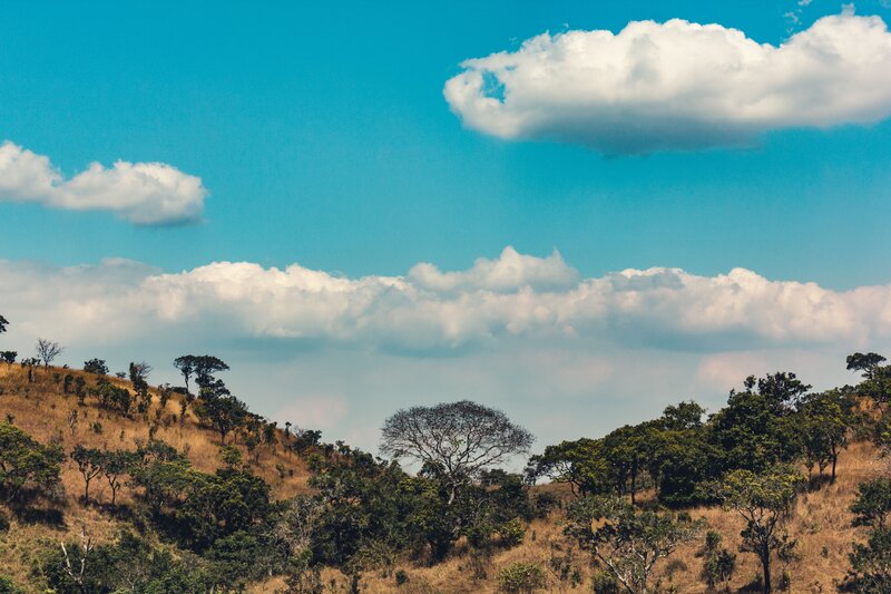 Savanna landscape with clouds