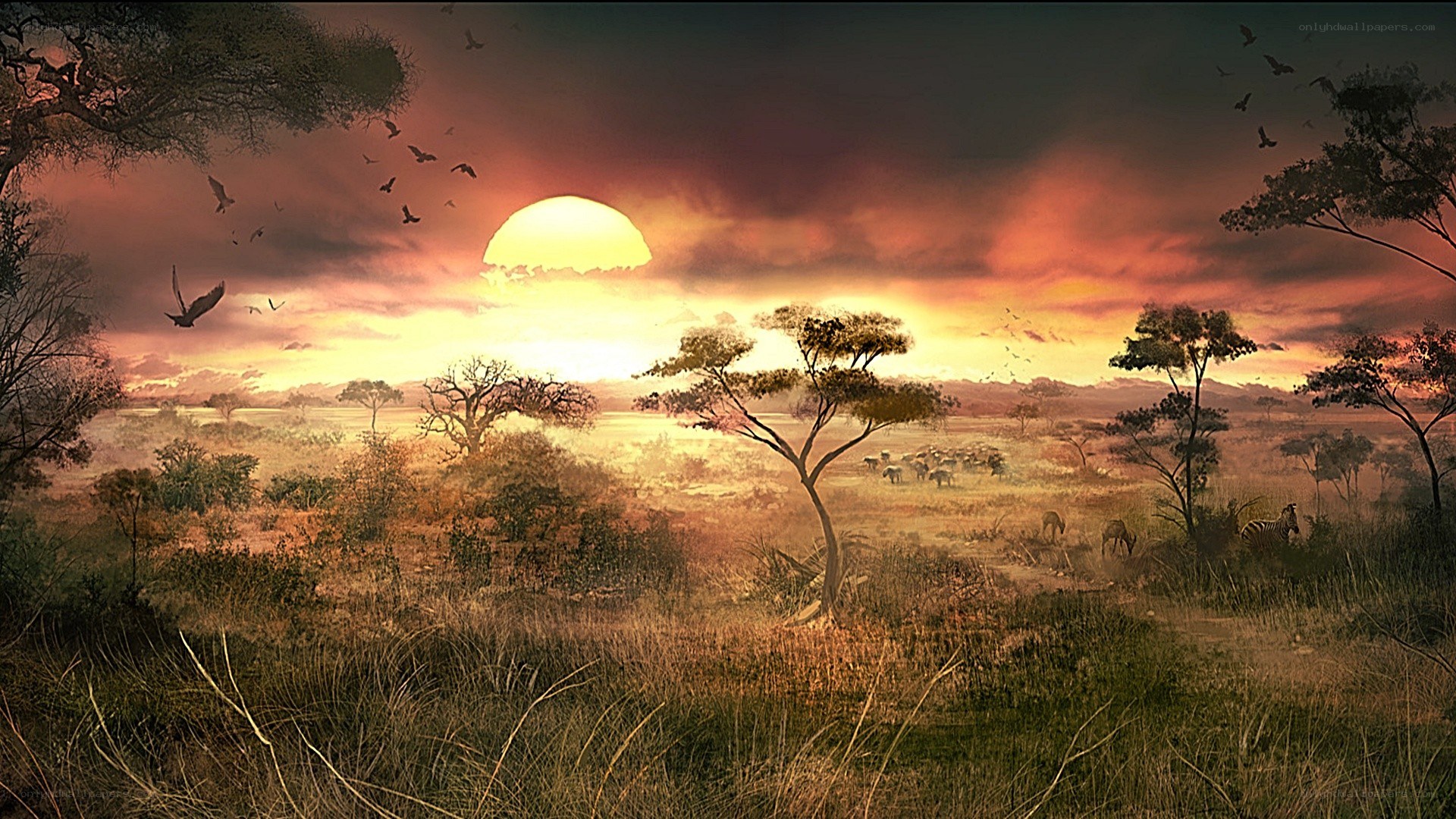 Savanna sunset with wildlife