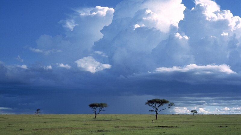Savanna under storm clouds