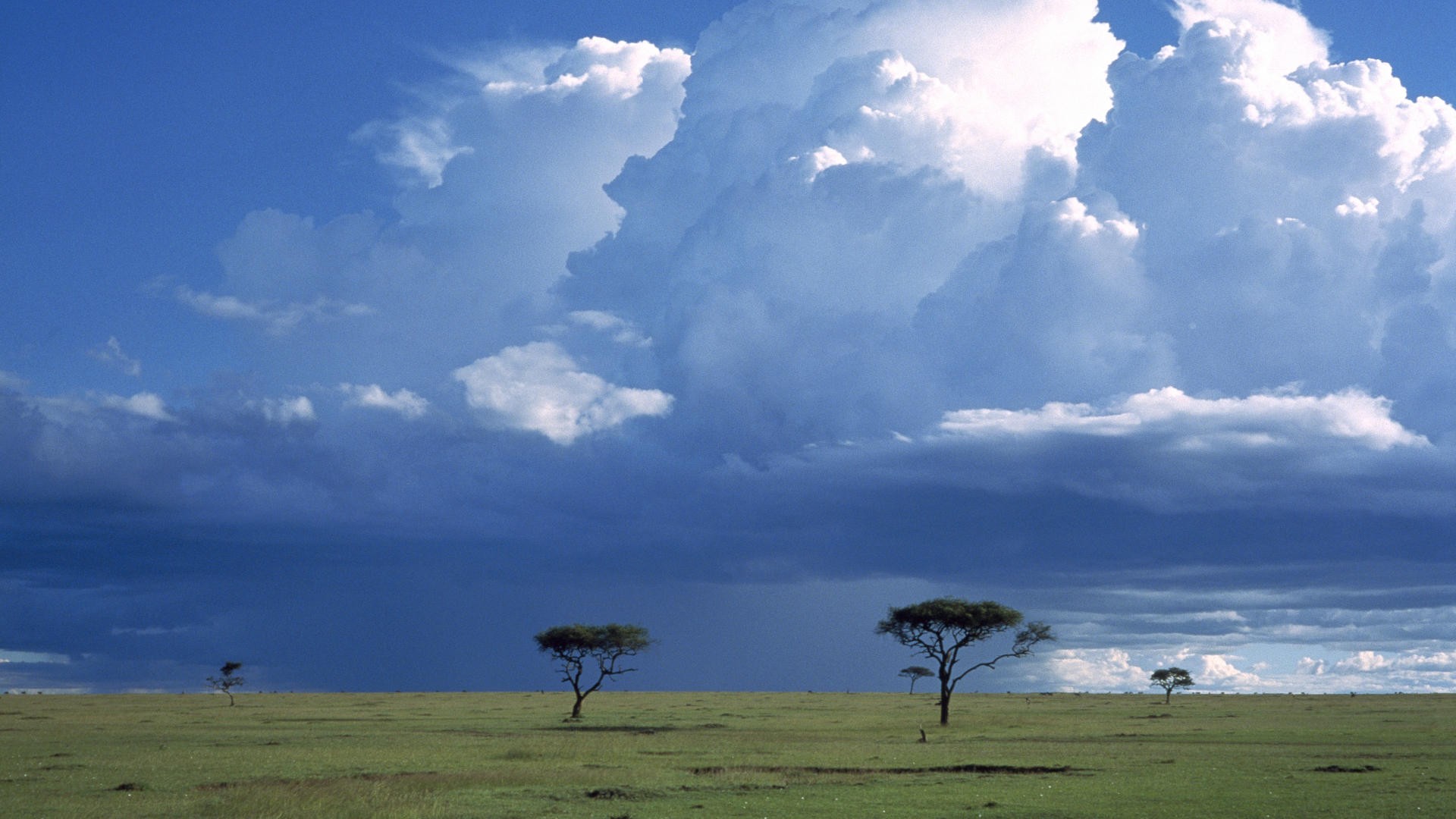 Savanna under storm clouds