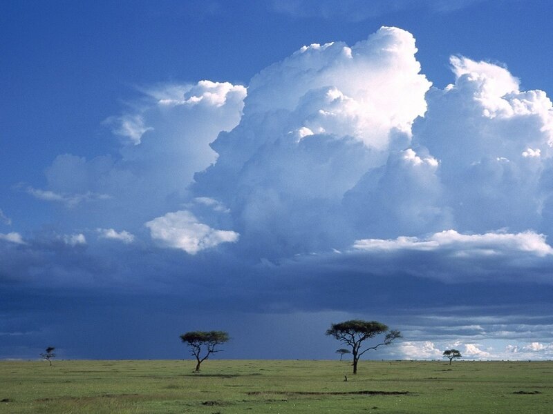 Savanna under storm clouds