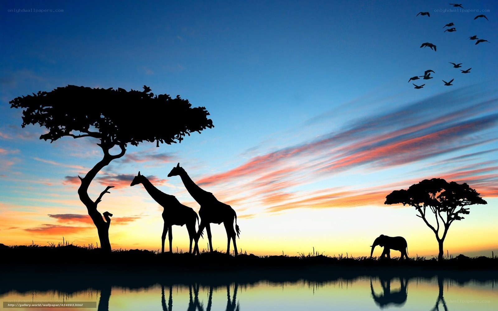 Savannah sunset with animals