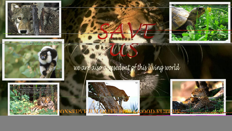Save Wildlife Campaign