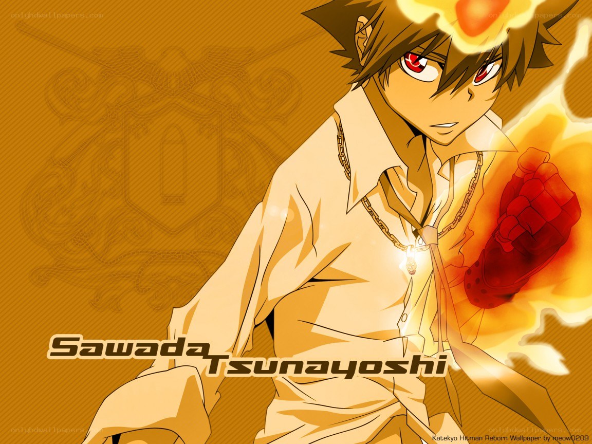 Sawada Tsunayoshi character art