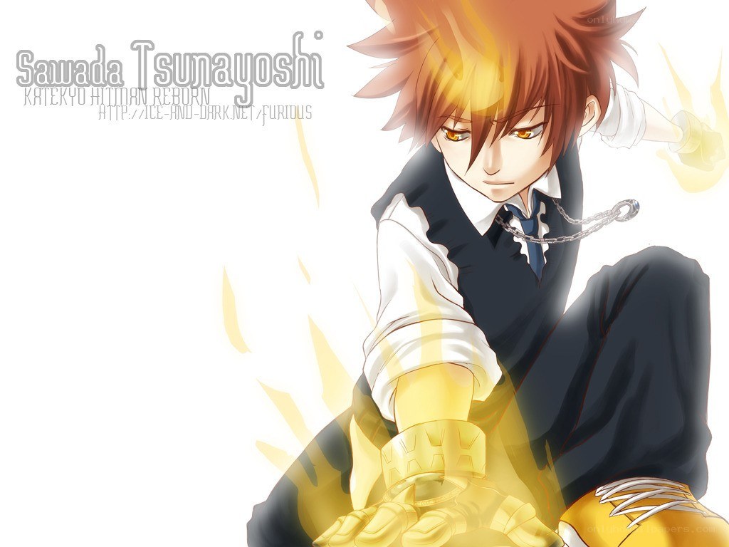 Sawada Tsunayoshi in action